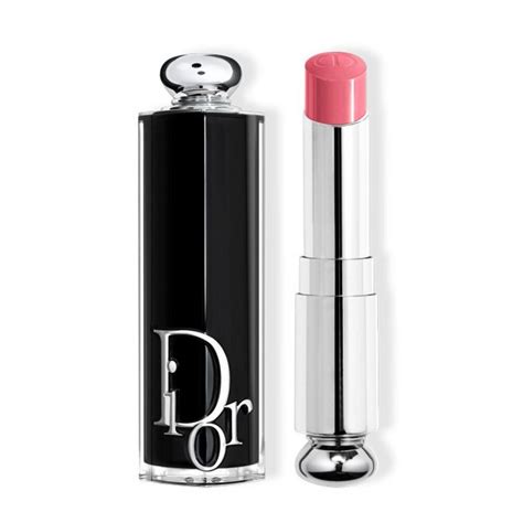 dior lippenstift preis|dior lipstick pinsel.